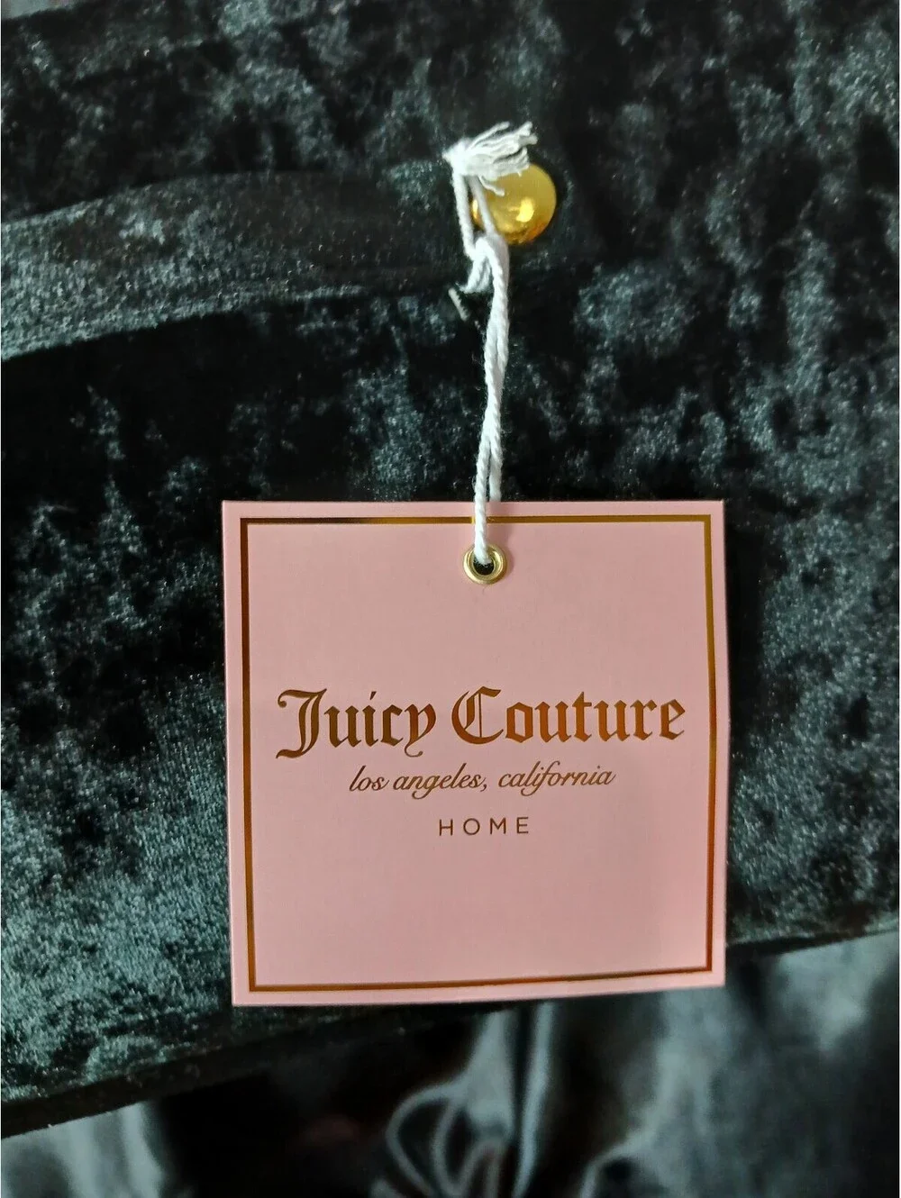 Juicy Couture nwt juicy